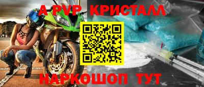 эйфоретик Кингисепп