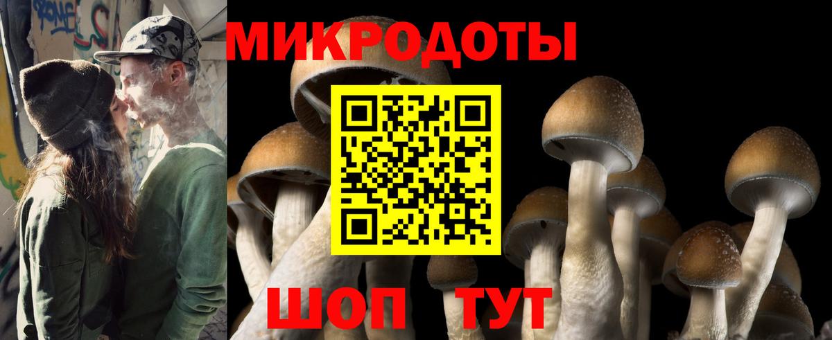 закладка  Псилоцибиновые грибы MAGIC MUSHROOMS  Вход с VPN  Псилоцибиновые грибы Magic Shrooms  Крымск 